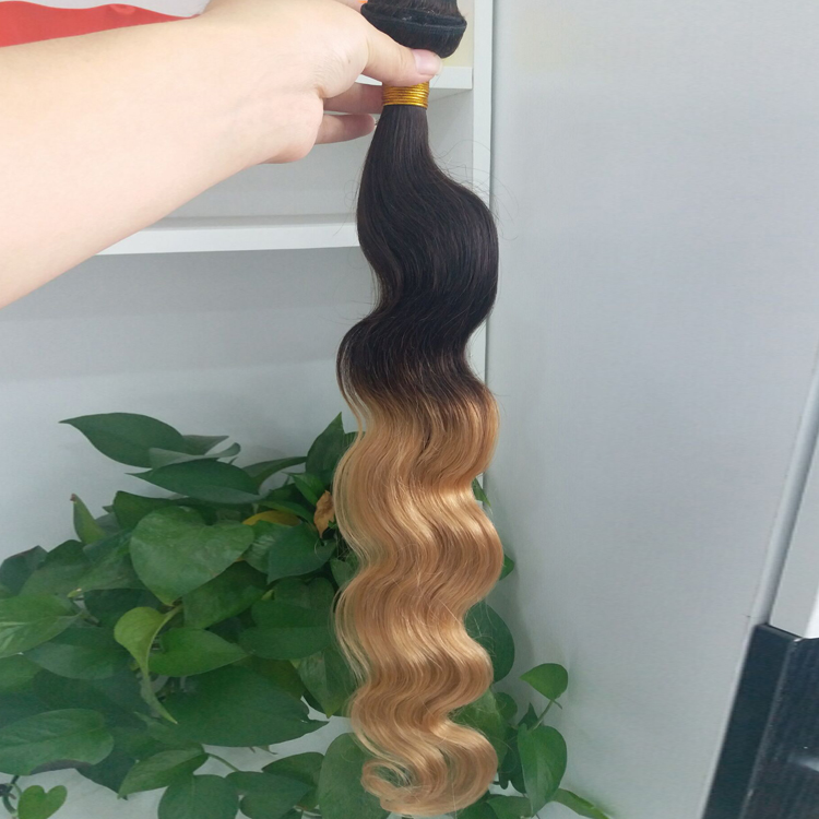 1b27 ombre hair.jpg